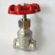 high quality stainless steel CF8/CF8M female threaded gate valve